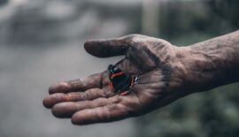 {{brizy_dc_image_alt imageSrc=